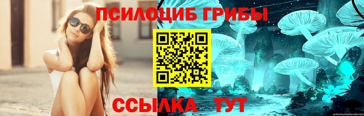 Галлюциногенные грибы Cubensis  Вход с VPN  Донецк  Псилоцибиновые грибы MAGIC MUSHROOMS 